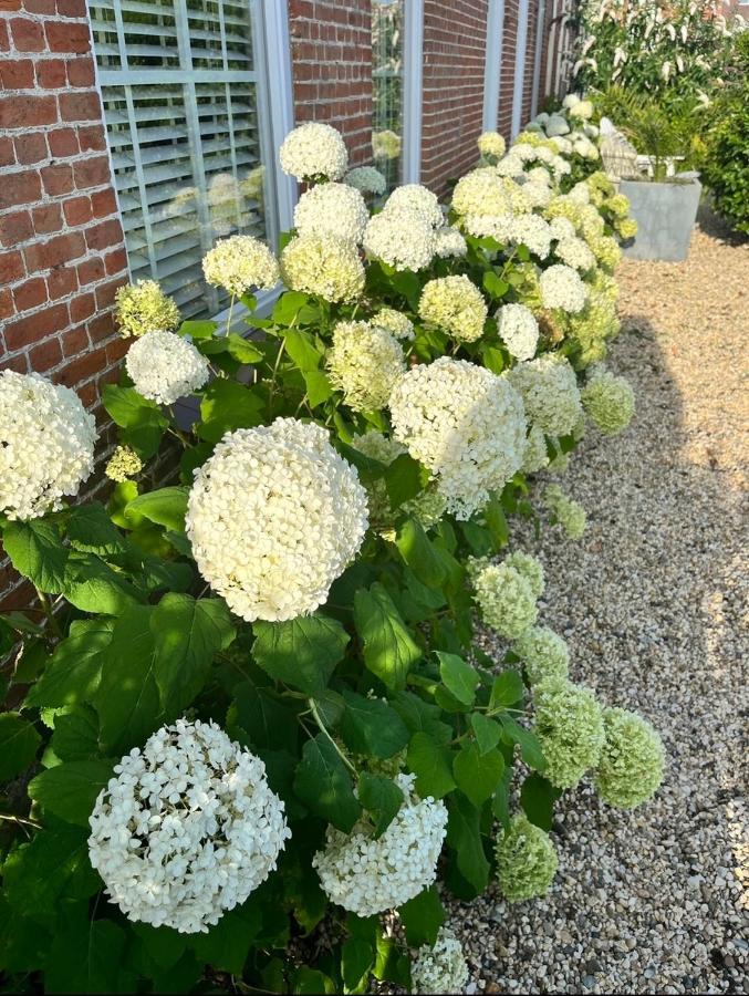 Maison Blakenburg Wissenkerke Luaran gambar